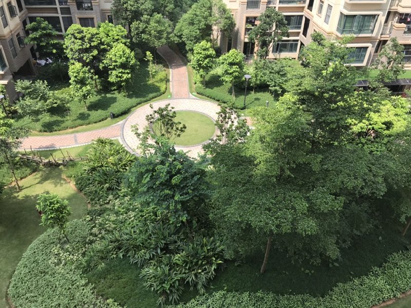 雅丽豪庭出租房阳台