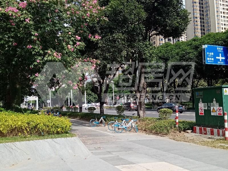 保利中悦公寓出租房书房
