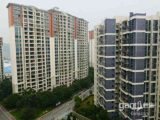 龙江碧桂园豪庭二手房