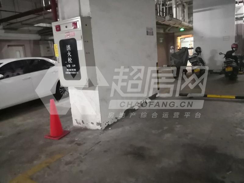 明日华府出租房卧室