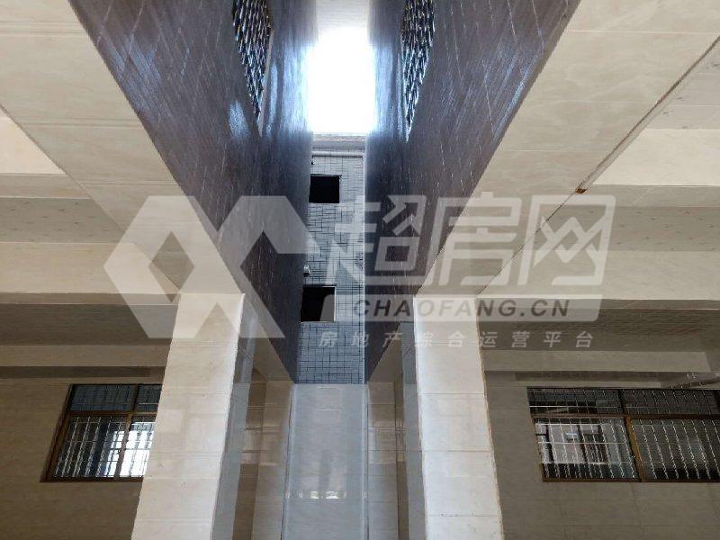 逢沙村委会出租房客厅