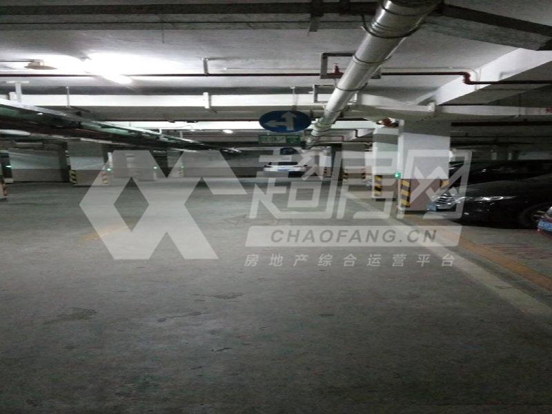 明日华府出租房客厅