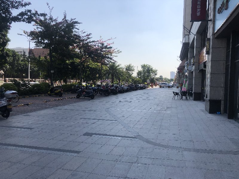 伦教碧桂园御府出租房客厅