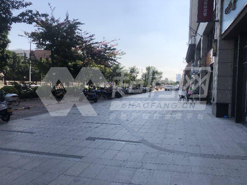 伦教碧桂园御府出租房客厅