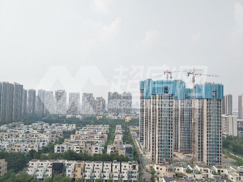 碧桂园右里苑出租房阳台