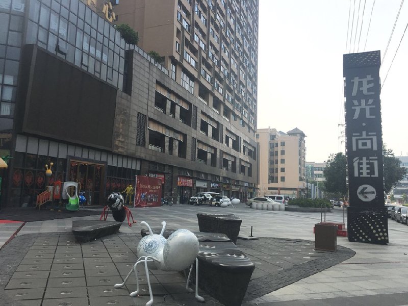 龙光尚街出租房其他