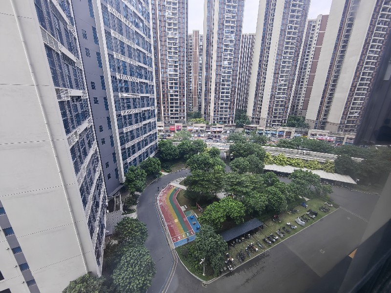 碧桂园银涛苑出租房其他