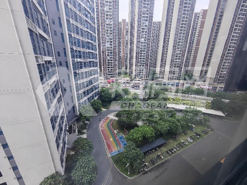 碧桂园银涛苑出租房其他