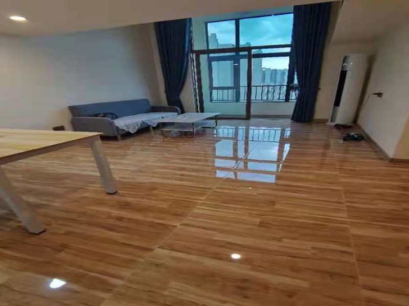 碧桂园银涛苑出租房客厅