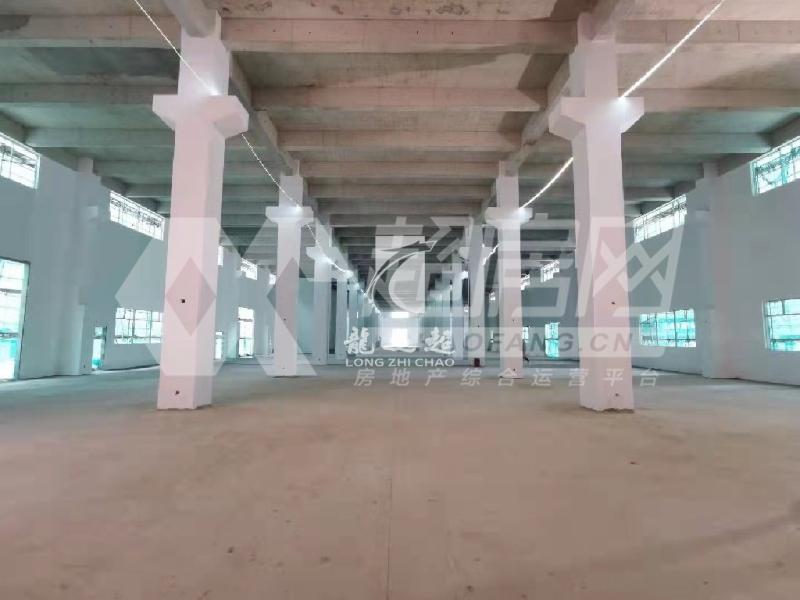 五沙工业区出租房户型图