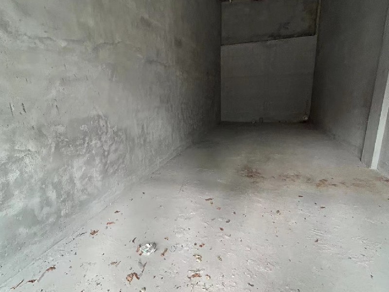 华侨城天鹅堡出租房客厅