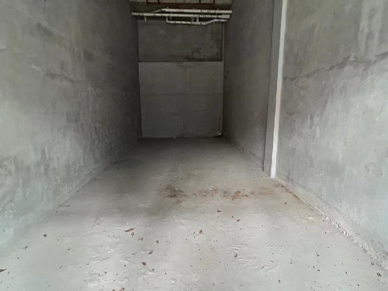 华侨城天鹅堡出租房客厅
