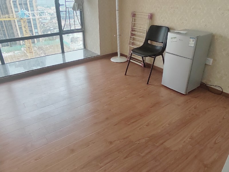 乐汇公馆出租房客厅