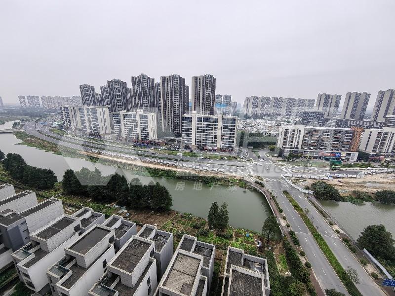 碧桂园听涛苑出租房阳台