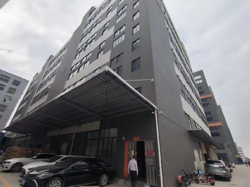 江村工业区出租房客厅