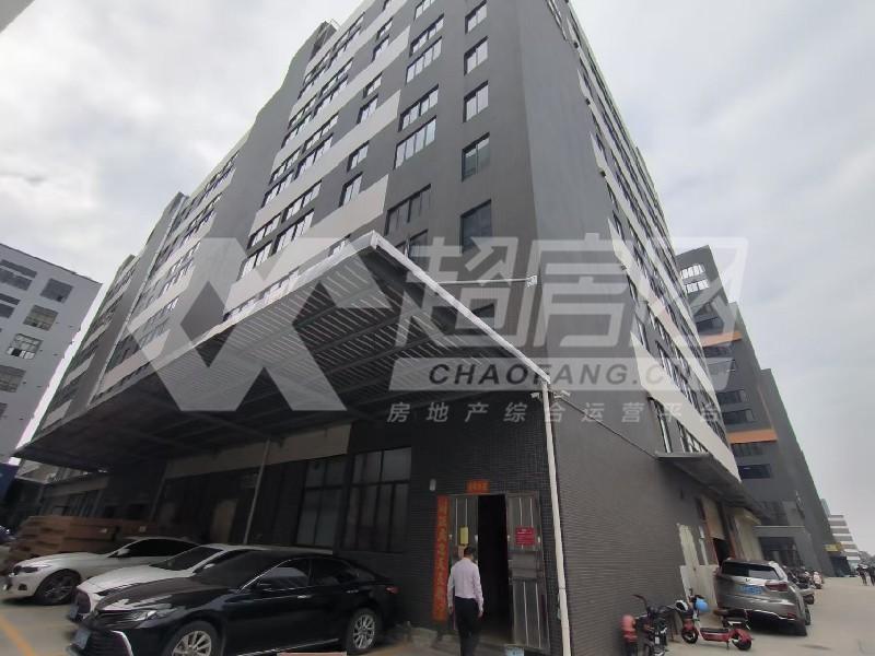 江村工业区出租房客厅