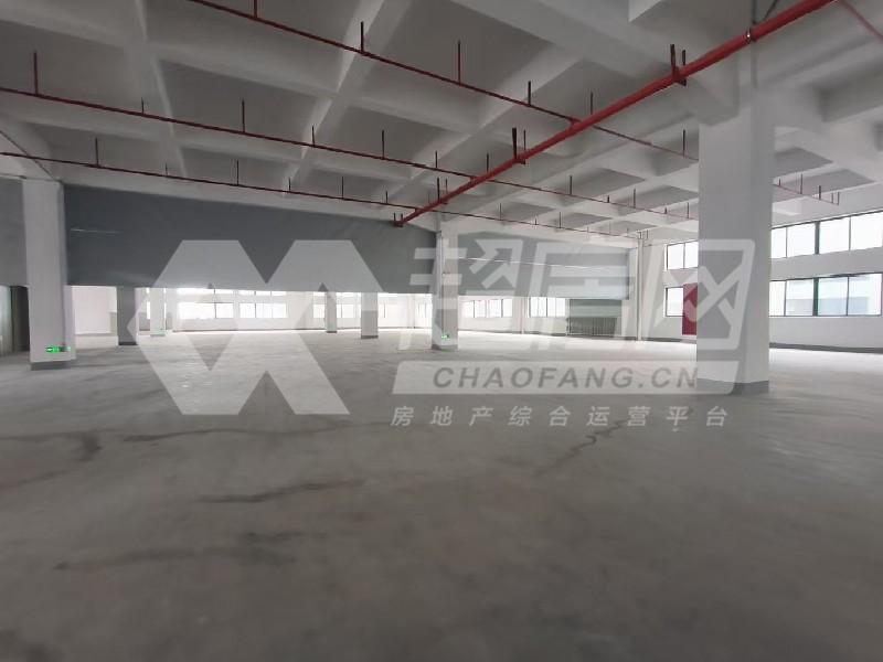 江村工业区出租房客厅