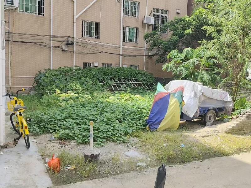 >新桂居委会二手房