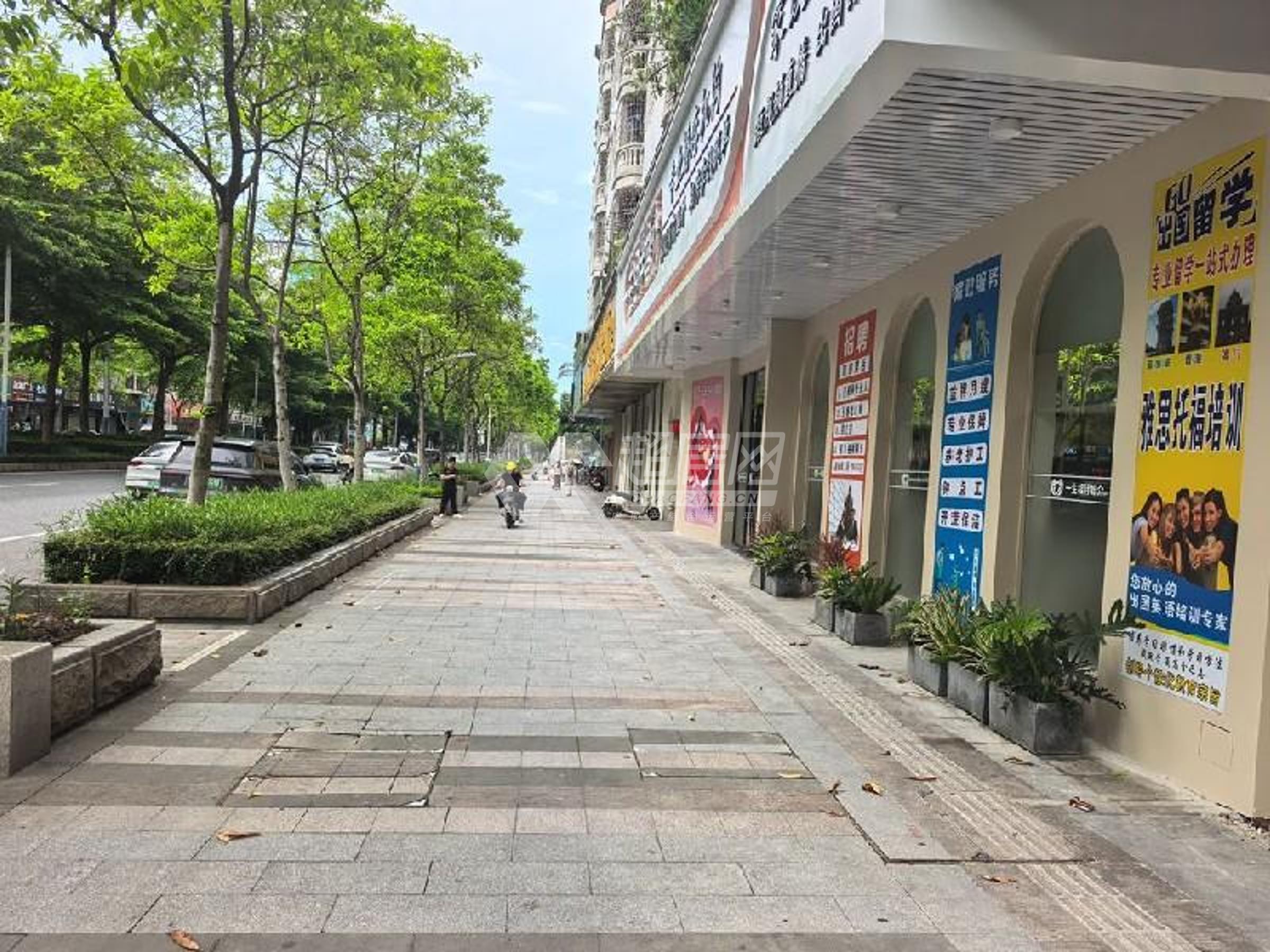 顺德区大良 府又祥兴苑 商铺3800元/月租房
