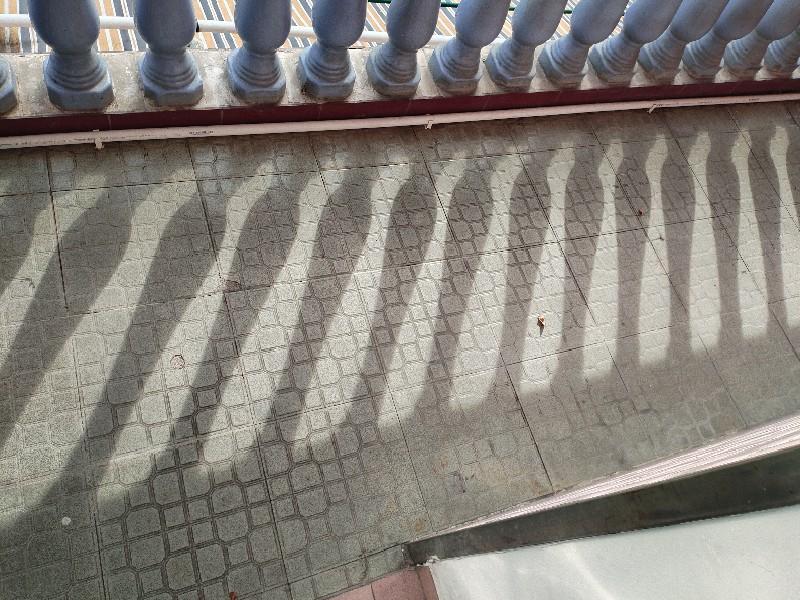 勒流居委会出租房阳台